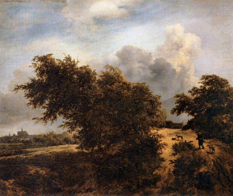 RUISDAEL, Jacob Isaackszon van The Thicket china oil painting image